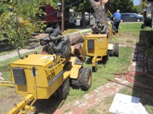 What Are the Benefits of Hiring a Landscaping Company in Vista, CA?