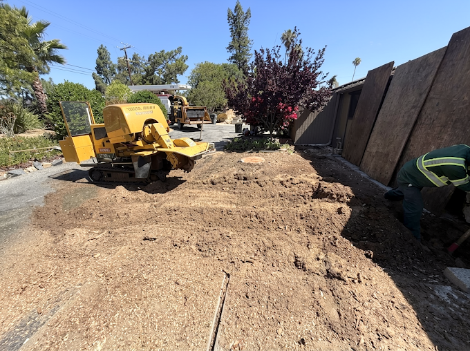 Stump Grinding vs Stump Removal in Vista, CA